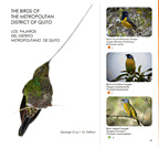 ecuador hummingbird poster - san jorge eco-lodge quito ecuador birding